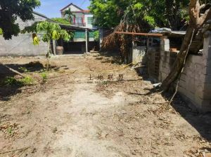 东方420平米宅基地环境舒适转让费950元/平米