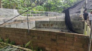 海口江东新区3.6亩设施用地交通便利