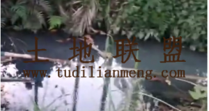 三亚30亩林地交通便利水源充足适合种植榴莲