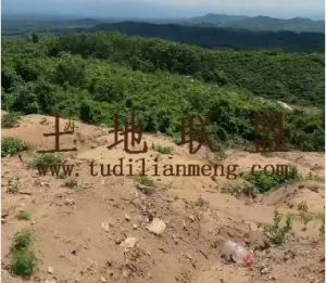 乐东1200亩临近水库边林地交通便利