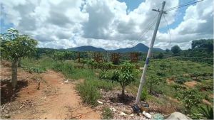 三亚10亩个人自留地没有租金交通便利转让费35万