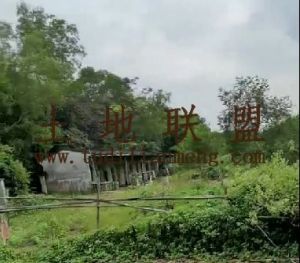 琼海108亩林地水电房设施齐全交通便利