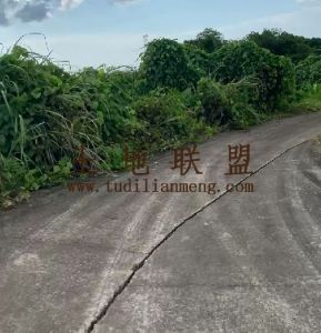 定安60亩农场地可以更名交通便利转让费38万