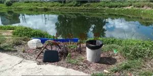 海口秀英20亩地带15亩鱼塘出租适合做垂钓场或是农家乐