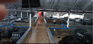 文昌临近海边7亩海水养殖池设施齐全