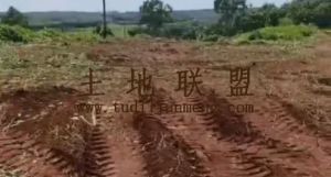 澄迈43亩短期红土种植地出租交通便利