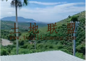 三亚97亩芒果园转让租金400元/亩/年一年一付