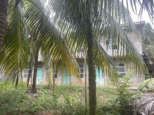 万宁7亩林地带三栋小楼转让环境清幽舒适