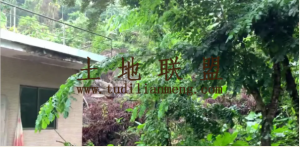 陵水8亩林地带80平米房转让环境清幽舒适