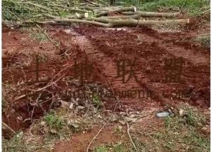 澄迈40亩红土种植短期种植地出租交通便利