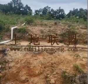 乐东100亩农场林地可以随时进场耕种交通便利