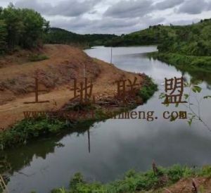 定安300亩临河边林地租金400元/亩/年五年一付