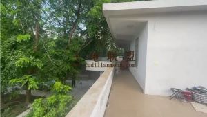 东方15亩林地带一栋两层小楼出租设施齐全