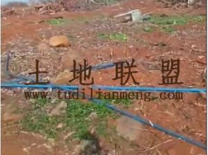 文昌150亩红土短期种植地水电齐全租金750元/亩/年