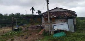 屯昌100亩林水电房齐全30年合同租金已付清适合种植槟榔