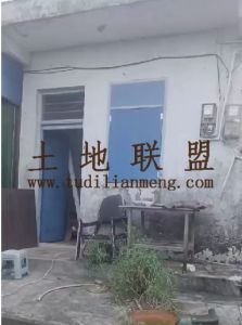 澄迈11亩林地转让水电房齐全交通便利