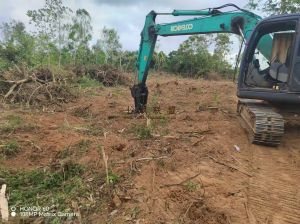 澄迈80亩林地租金550元/亩/年交通便利