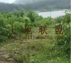 屯昌25亩临近水库边种植地交通便利可以随时进场