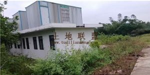 屯昌80亩种植地交通便利带两排小楼转让