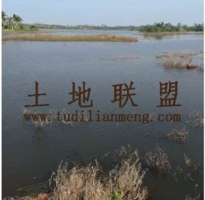 海口琼山区190亩鱼塘出租交通便利租金两年一付