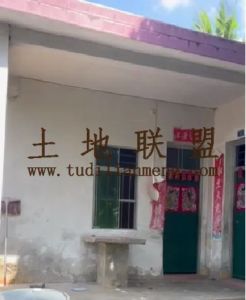 陵水30亩林地带房子转让环境清幽舒适