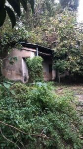 儋州约80亩养殖用地转让设施齐全40年合同没有租金