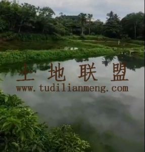 澄迈30亩虾塘转让设施齐全租金一年一付转让费只要5万