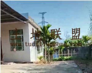 保亭9亩地带处房子转让农场地可以更名