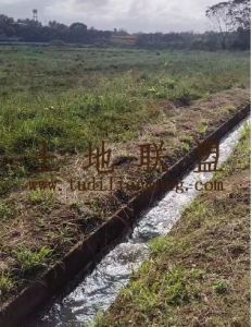 海口美兰区16亩林地转让水源充足转让费8.5万