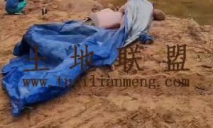 琼海60亩种植地土壤肥沃水源充足租金152元/亩/年一年一付