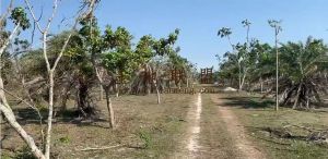 文昌200亩种植租金可以五年一付交通便利