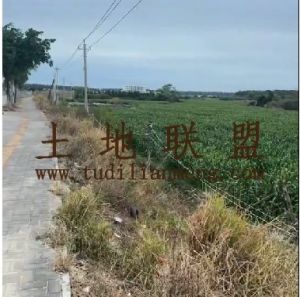 乐东110亩短期种植地租金一年一付