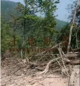 白沙500亩种植地租金220元/亩/年可分期付款