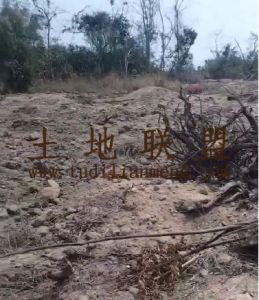 昌江350亩种植地可以分割租金可以分期付款水源充足