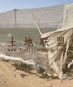 东方60亩大棚地带厂房转让设施齐全可以随时进场