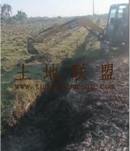 文昌180亩基本农短期出租价格350元/亩/年水源充足