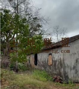 万宁海边120亩土地70年+30年无租金流转