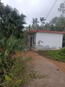 万宁110亩农场地可以更名水电房齐全交通便利