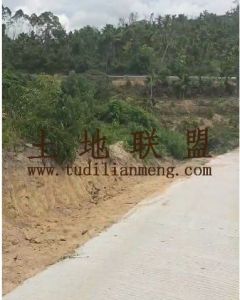 屯昌80亩种植地租金120元/亩/年转让费45万