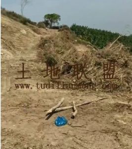 东方62亩种植地可以随时进场耕种土壤肥沃