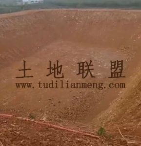 东方150亩种植地土壤肥沃水源充足交通便利