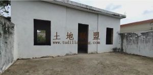 文昌360平米农村小院出租环境清幽舒适生活便利