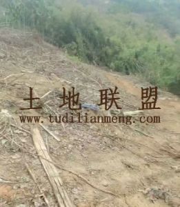 乐东30亩种植地土壤肥沃可以随时进场耕种