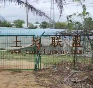 乐东12亩大棚地出租水电房齐全交通便利