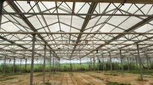 琼海10亩农业设施用地带大棚出租适合做养殖项目