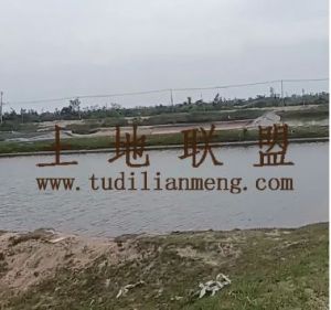 文昌120亩鱼塘出租设施齐全可随时进场养殖