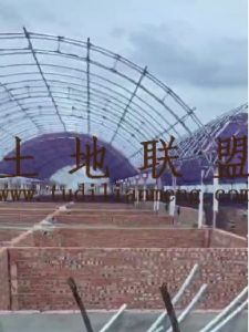 文昌约10亩地290个鱼池出租设施齐全可随时进场