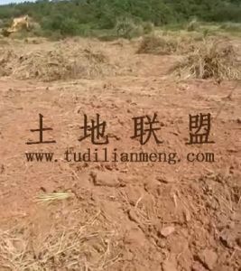 昌江130亩种植地租金可分期随时进场耕种