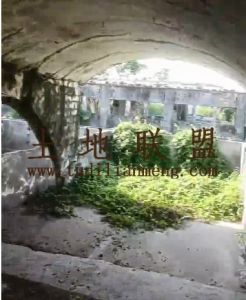 澄迈约34亩养殖场可随时进场租金一年一付