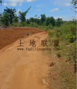 文昌130亩红土种植地租金十年一付交通便利